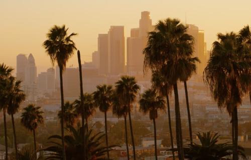 Los Angeles skyline behind palm trees